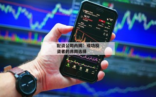 配资公司内揭：成功投资者的共同选择