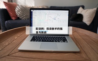 配资网：投资新手的福音与挑战